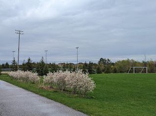 Open park field in Berczy, Markham, Ontario