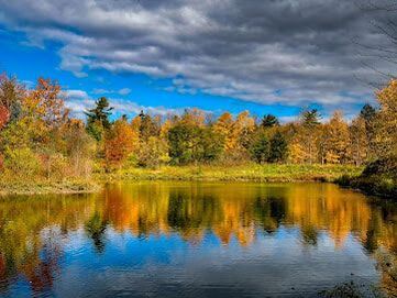 Pond lined by trees in the fall in Cachet, Markham, Ontario