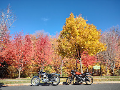 Trees in the fall with two motorcycles in front in Cachet, Markham, Ontario